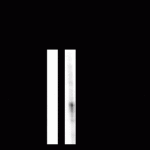 Tryptophan Hydroxylase (Phospho-Ser58) Antibody