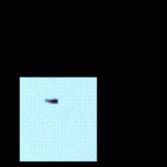 NMDA NR1, Splice Variant C2 Antibody