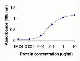 ALB Antibody