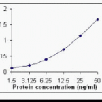 ELISA testing using Fibronectin antibody.