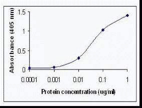 Haptoglobin Antibody