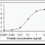 ELISA testing of IgGm antibody.