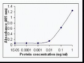 IL6 Antibody