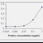 ELISA testing of IL-8 antibody.