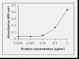 IL8 Antibody