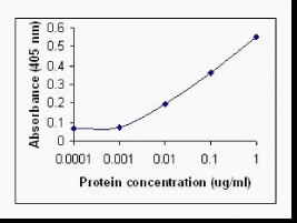 CXCL10 Antibody