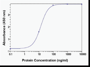 Macroglobulin Antibody