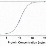 Human plasma Fetuin protein as test antigen. Affi-pure IgY as primary antibody (1 ug/mL), and Rabbit anti-IgY-HRP as 2nd antibody.