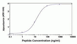 HA tag Antibody