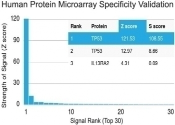 p53 Antibody [PAb 122]