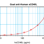 To detect hsCD40-Ligand by sandwich ELISA (using 100 ul/well antibody solution) a concentration of 0.5 - 2.0 ug/ml of this antibody is required. This antigen affinity purified antibody, in conjunction with ProSci’s Biotinylated Anti-Human sCD40-Ligand (XP-5263Bt) as a detection antibody, allows the detection of at least 0.2 - 0.4 ng/well of recombinant hsCD40-Ligand.
