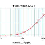 To detect hsDLL-4 by sandwich ELISA (using 100ul/well antibody solution) a concentration of 0.5 - 2.0 ug/ml of this antibody is required. This antigen affinity purified antibody, in conjunction with ProSci’s Biotinylated Anti-Human sDLL-4 (38-280) as a detection antibody, allows the detection of at least 0.2 - 0.4 ng/well of recombinant hsDLL-4.