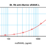 To detect msRANKL by sandwich ELISA (using 100 ul/well antibody solution) a concentration of 0.25 – 1.0 ug/ml of this antibody is required. This biotinylated polyclonal antibody, in conjunction with ProSci’s Polyclonal Anti-Murine sRANKL (XP-5272) as a capture antibody, allows the detection of at least 0.2 – 0.4 ng/well of recombinant msRANKL.