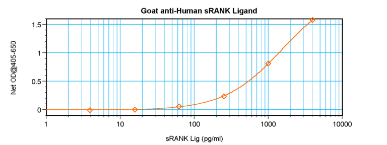 sRANK Ligand Antibody