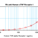 To detect hsTNF-receptor by sandwich ELISA (using 100 ul/well antibody solution) a concentration of 0.5 - 2.0 ug/ml of this antibody is required. This antigen affinity purified antibody, in conjunction with ProSci’s Biotinylated Anti-Human sTNF-receptor (XP-5276Bt) as a detection antibody, allows the detection of at least 0.2 - 0.4 ng/well of recombinant hsTNF-receptor.