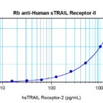 To detect hsTRAIL Receptor-2 by sandwich ELISA (using 100ul/well antibody solution) a concentration of 0.5 - 2.0 ug/ml of this antibody is required. This antigen affinity purified antibody, in conjunction with ProSci’s Biotinylated Anti-Human sTRAIL Receptor-2 (38-262) as a detection antibody, allows the detection of at least 0.2 - 0.4 ng/well of recombinant hsTRAIL Receptor-2.