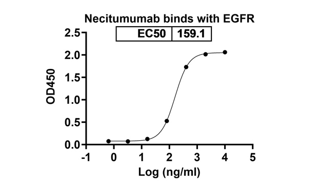 Necitumumab (EGFR/ERBB1 ) Antibody, Monoclonal