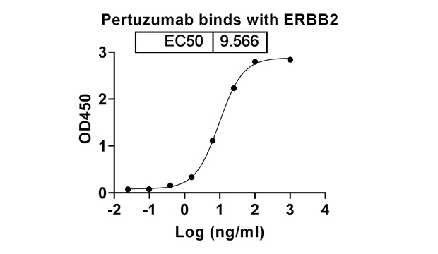 Pertuzumab (ERBB2/EGFR2/CD340) Antibody, Monoclonal