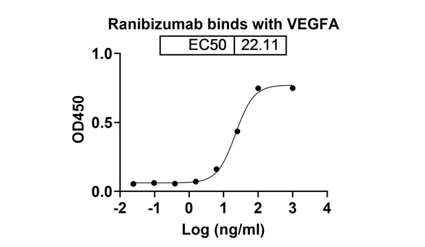 Ranibizumab (VEGFA) Antibody, Monoclonal