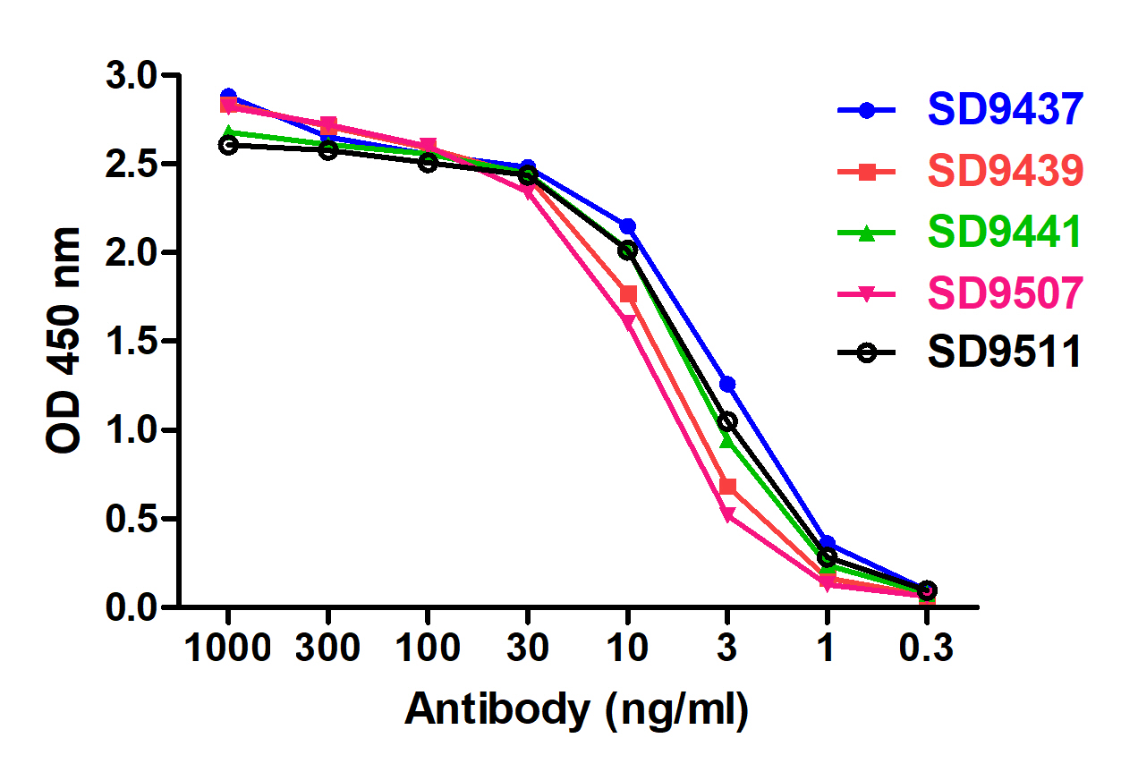 SARS-CoV-2 (COVID-19) S1 RBD Detection Set