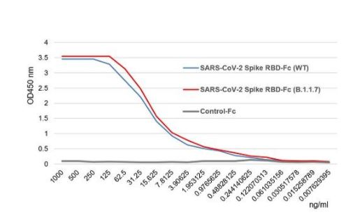 SARS-CoV-2 (COVID-19) Alpha Variant (B.1.1.7, UK) Spike S1 (RBD) Recombinant Protein