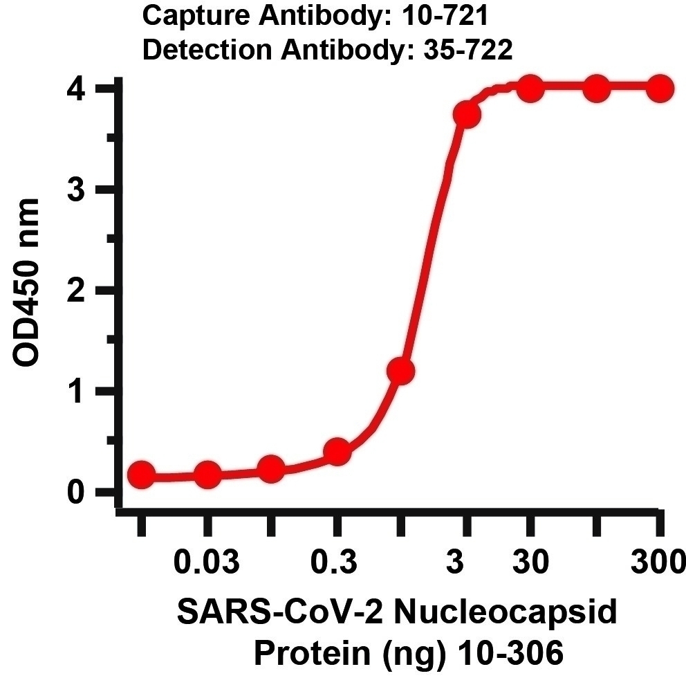 SARS-CoV-2 (COVID-19) Nucleocapsid Antibody [3867]