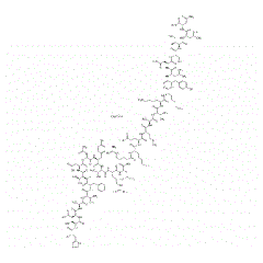 VIP (human, mouse, rat) . AcOH [RLF-100]