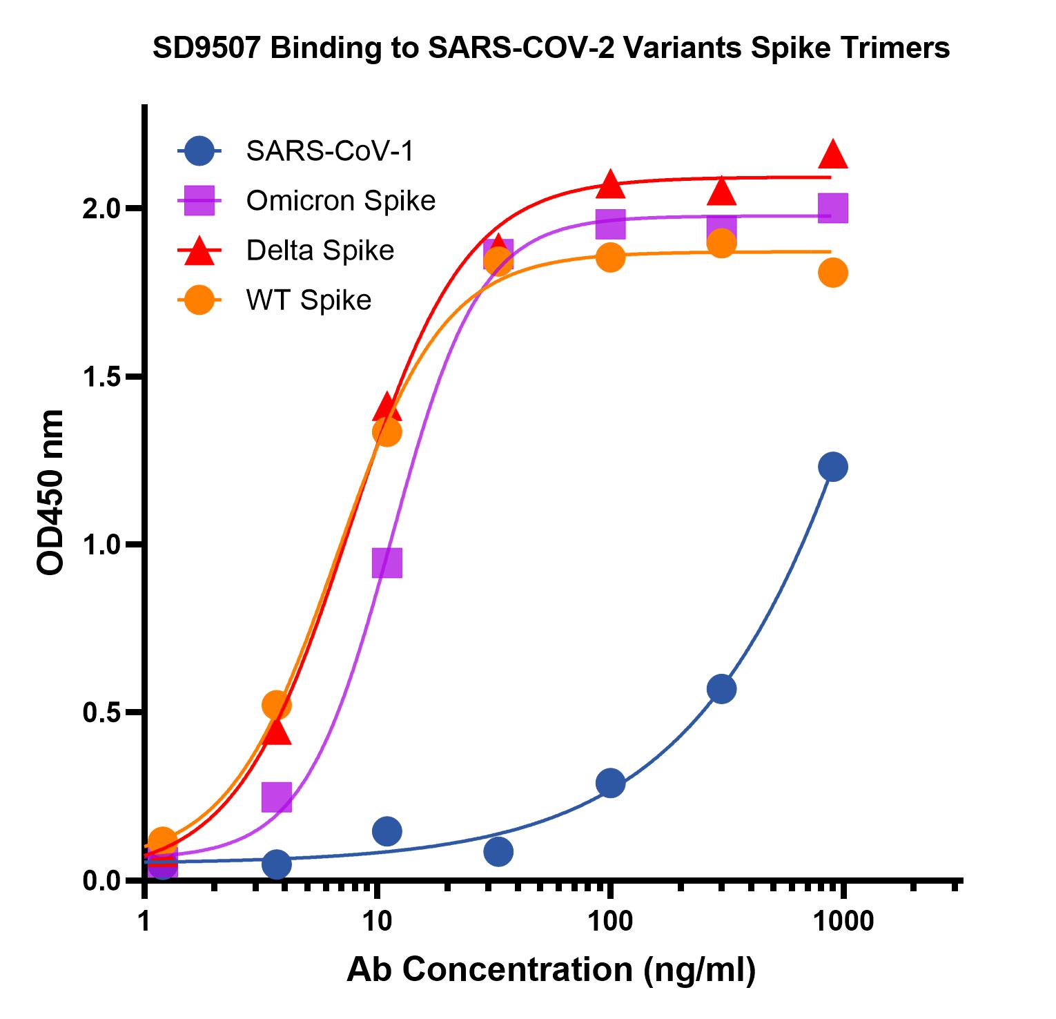 SARS-CoV-2 (COVID-19) S1 RBD Antibody [T4P5-H12]