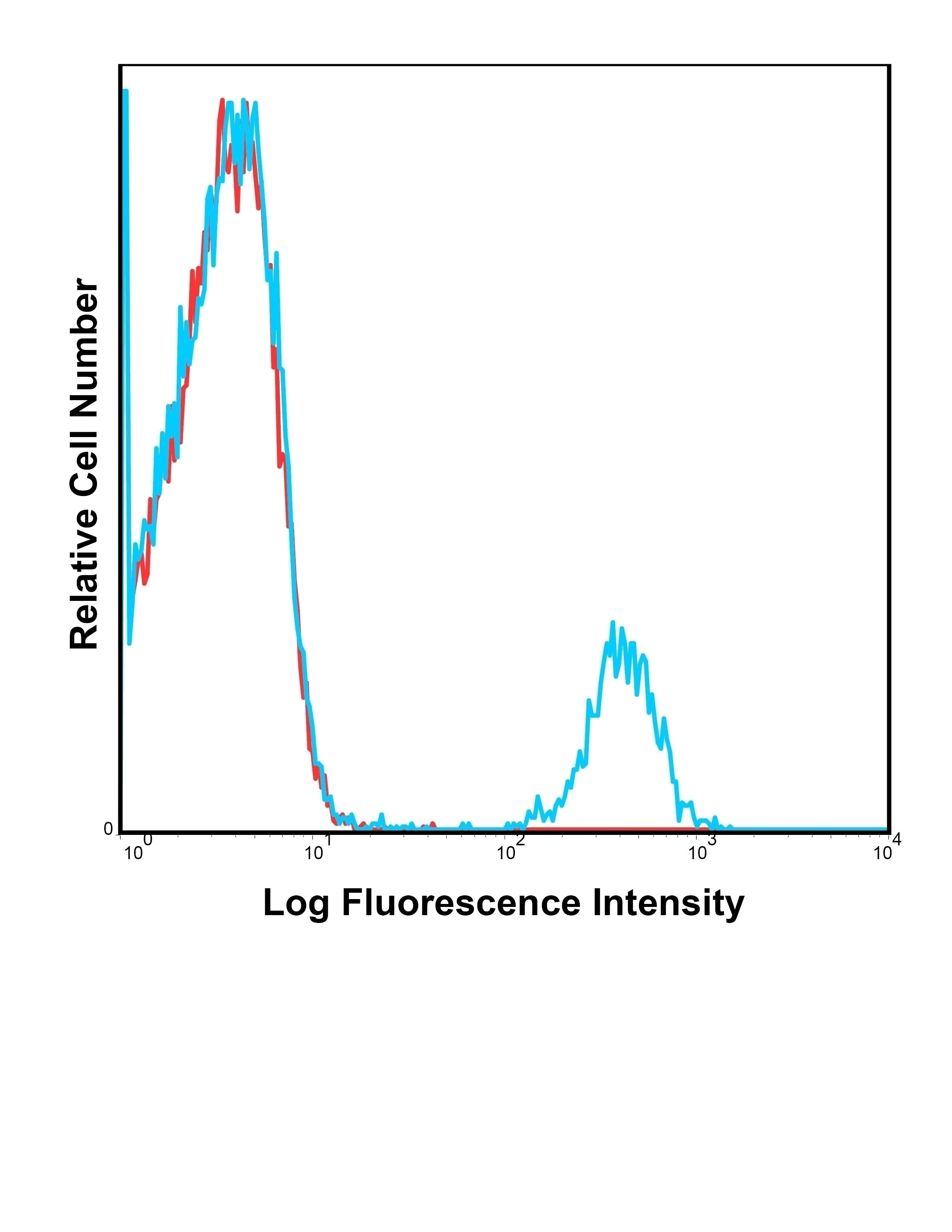 CD19 Antibody [HIB19] (PE)
