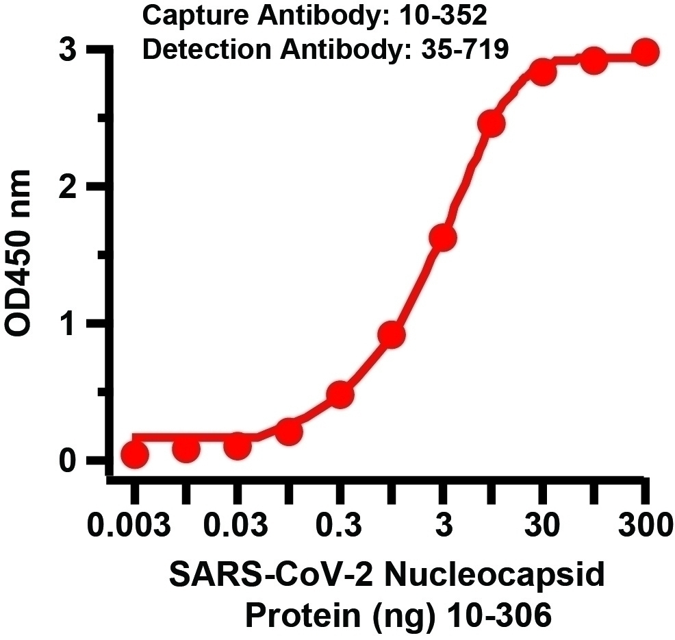 SARS-CoV-2 (COVID-19) Nucleocapsid Matched Pair