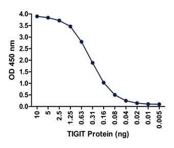 TIGIT Antibody [10B1] (biotin)