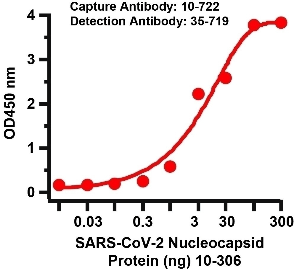 SARS-CoV-2 (COVID-19) Nucleocapsid Antibody [3868]