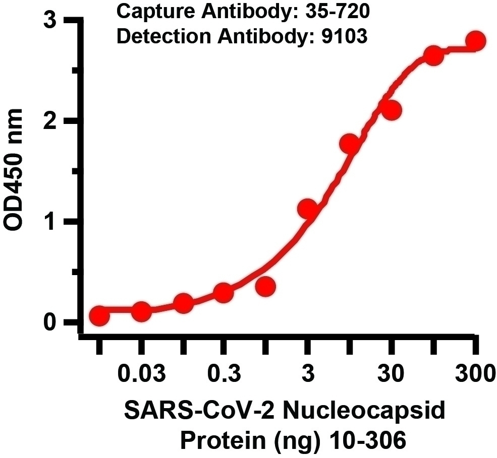 SARS-CoV-2 (COVID-19) Nucleocapsid Matched Pair
