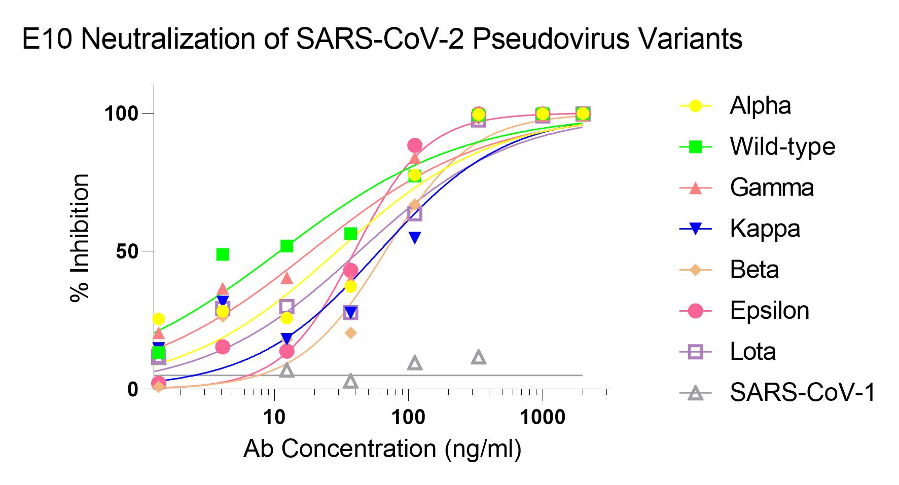 SARS-CoV-2 (COVID-19) Spike Neutralization Antibody [E10]
