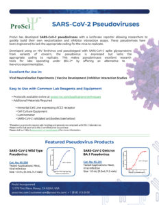 Pseudovirus research reagents