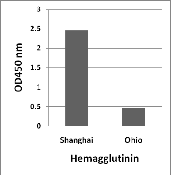 Avian Influenza A H7N9 Hemagglutinin Antibody