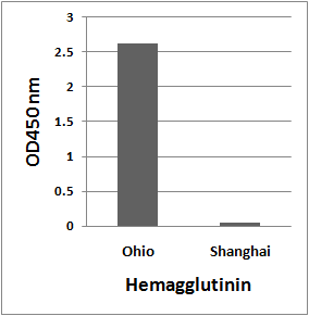 Avian Influenza A H7N9 Hemagglutinin Antibody
