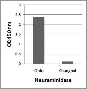 Avian Influenza A H7N9 Neuraminidase Antibody