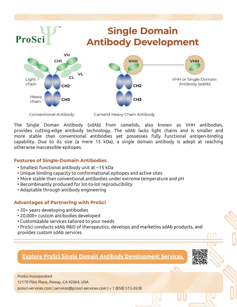 ProSci single domain antibody development services