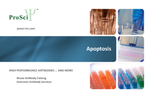 ProSci apoptosis brochure