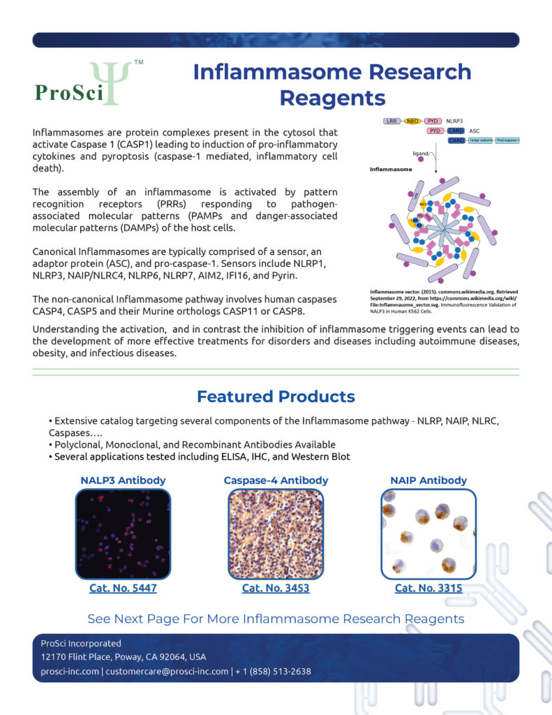 Inflammasome research reagents from ProSci