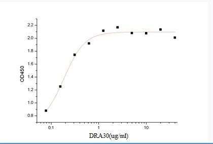 SARS-CoV-2 (COVID-19) S1  Recombinant Protein