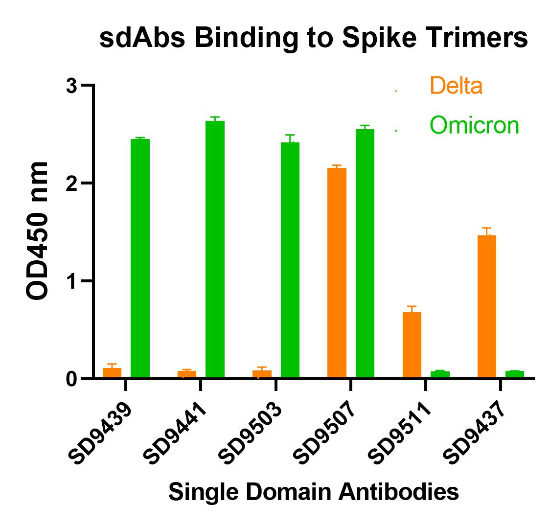 SARS-CoV-2 (COVID-19) Spike RBD Single Domain Antibody [T5P8-F9]