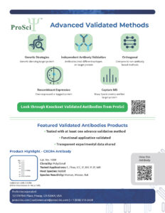 Advanced antibodies flyer from ProSci