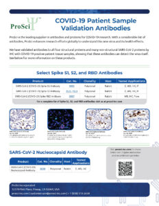 COVID-19 antibodies validated by patient samples from ProSci