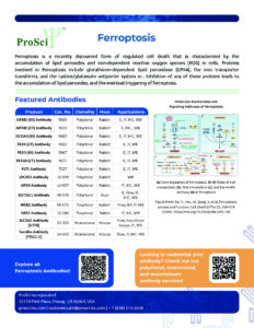 Ferroptosis research reagents from ProSci