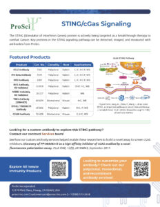 STING/cGAS signaling flyer from ProSci