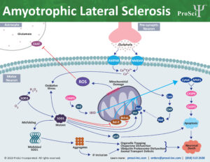 ALS research reagents from ProSci