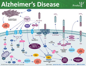 Alzheimer's products from ProSci