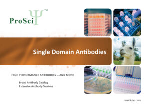 ProSci single domain antibody development brochure